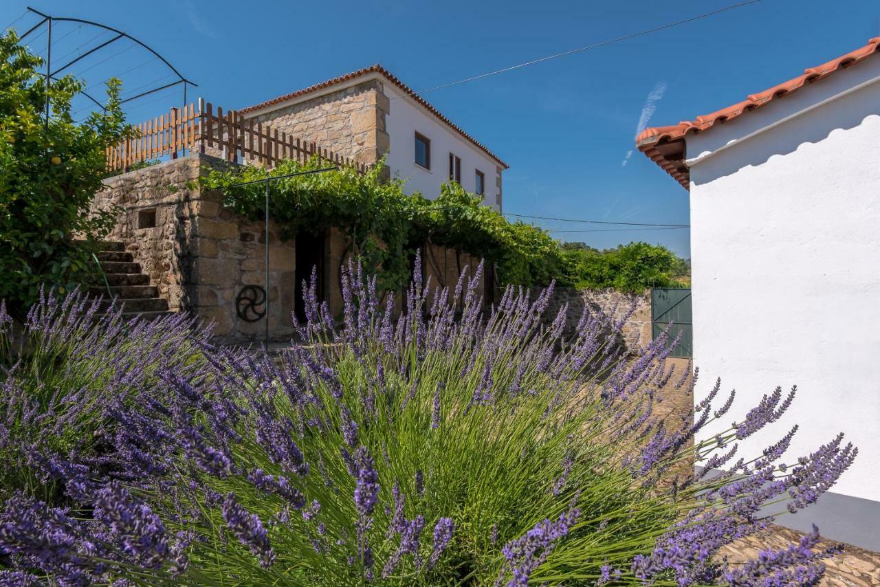 Ferienwohnung Quinta Do Acipreste Lamego Exterior foto