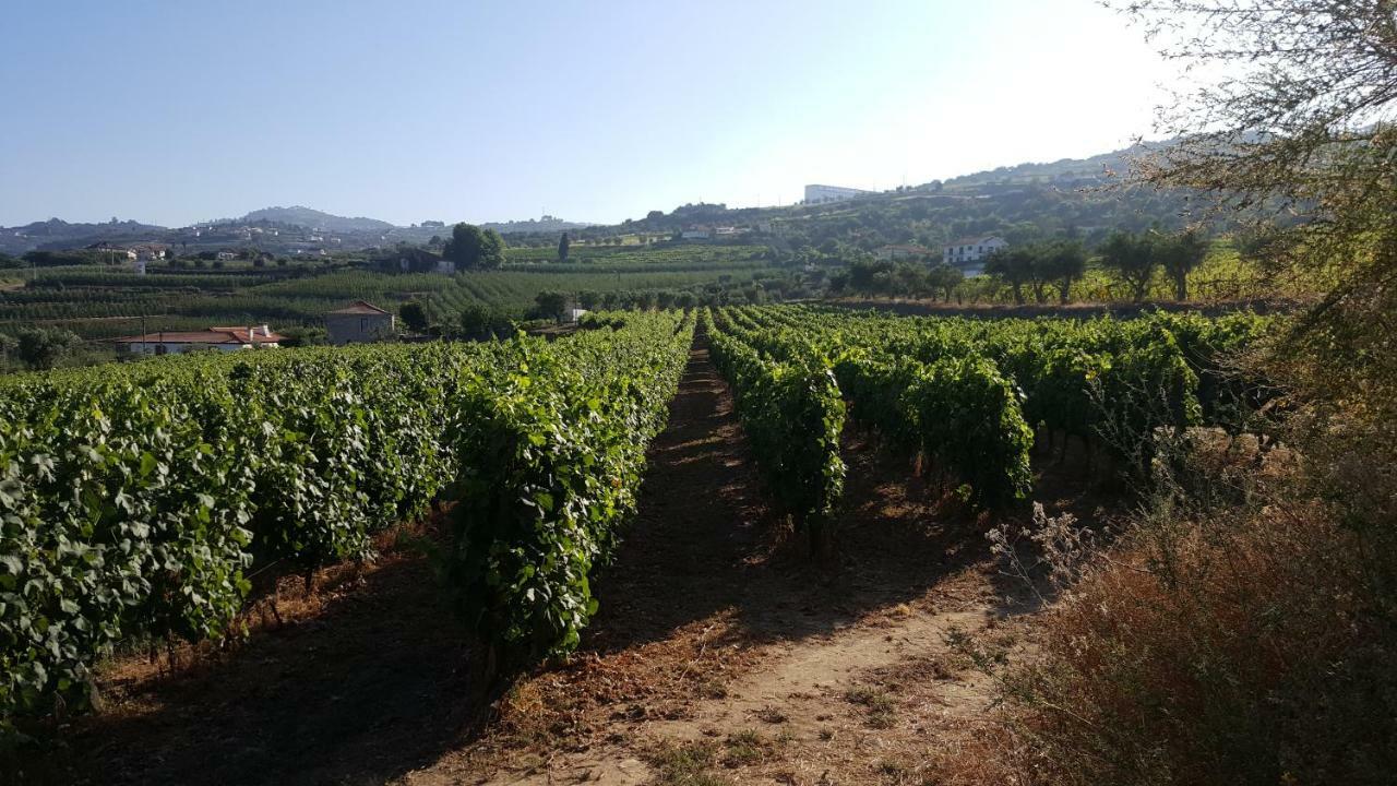 Ferienwohnung Quinta Do Acipreste Lamego Exterior foto