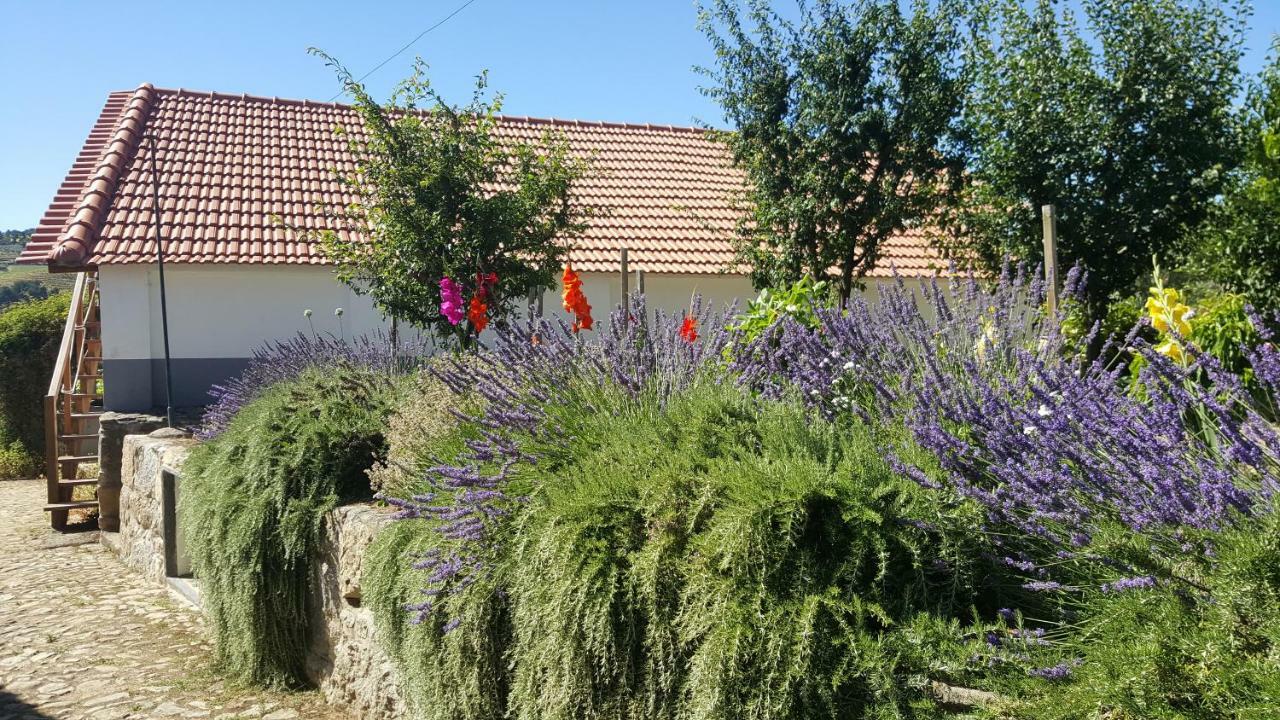 Ferienwohnung Quinta Do Acipreste Lamego Exterior foto