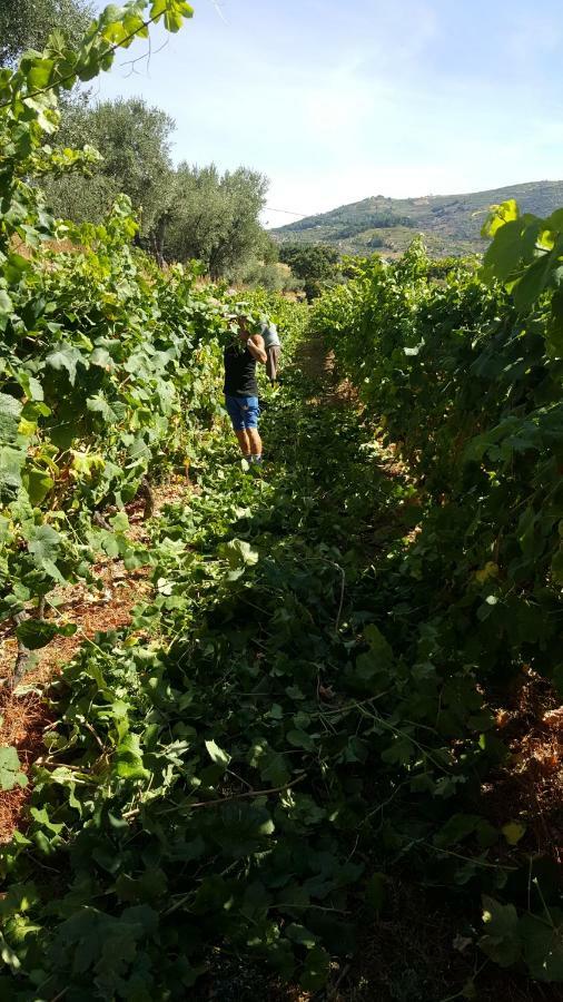 Ferienwohnung Quinta Do Acipreste Lamego Exterior foto