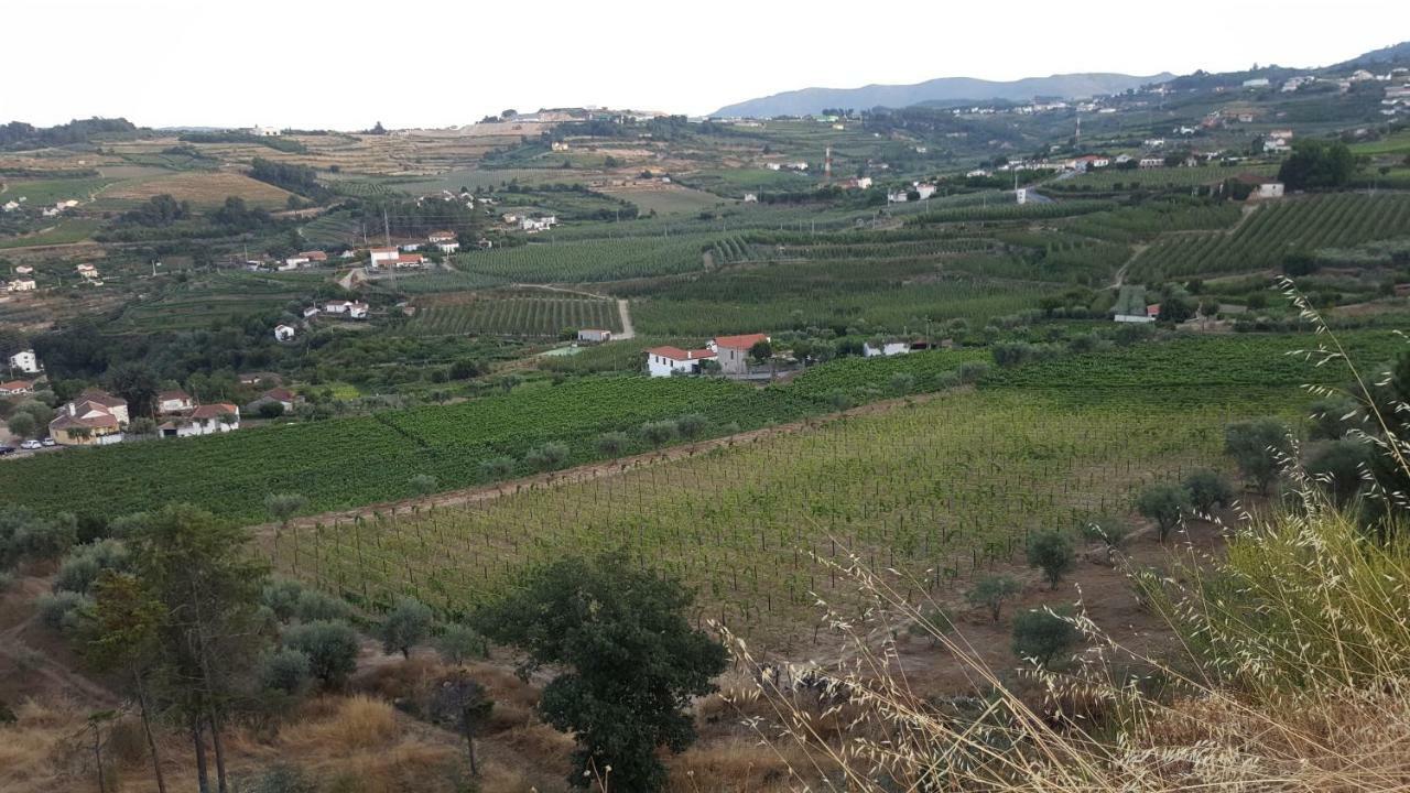 Quinta Do Acipreste Lamego Exterior foto